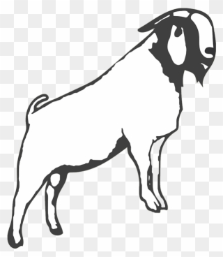New Barn Farm - Boer Goat Black And White Clipart