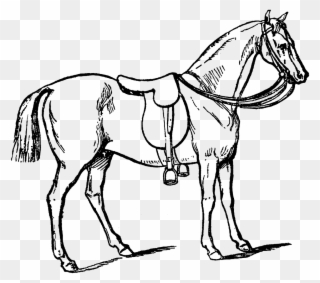 Carolyn Iott On Twitter - Horse With Gear Drawing Clipart