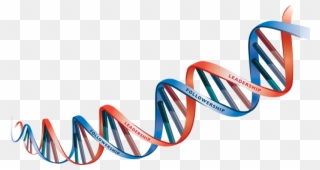 Dna Picture Free Clipart Hd - Dna Strand Transparent Background - Png Download