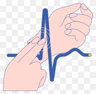 Pulse Palpationa Health-care Practitioner Can Check - Illustration Clipart