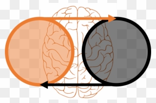 Maria Popova Wrote A Delightful Blog Post On The Topic - Creativity Clipart