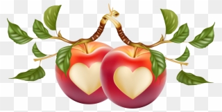 Heart-shaped Apple Vector 7389*3756 Transprent Png - Heart Shape On Fruits Clipart
