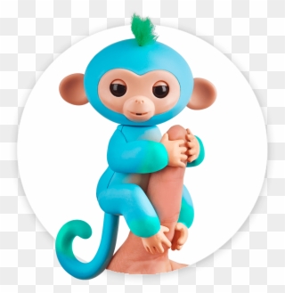 Fingerlings Monkey 2tone Ombre Charlie - Fingerling Charlie Clipart