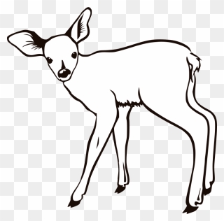 White-tailed Deer Coloring Book Reindeer Mule Deer - Venado Cola Blanca Para Colorear Clipart