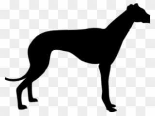 Greyhound Clipart - Greyhound Silhouette - Png Download