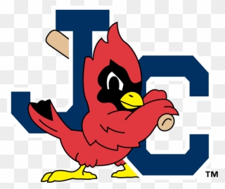 The Birdist Grading Bird Themed Minor League Baseball - Johnson City Cardinals Logo Clipart