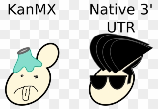 This Manor Of Strain Construction Solved The Reduced Clipart