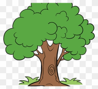 Random Cliparts - Cartoon Tree Drawing Png Transparent Png