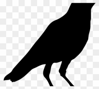 Crow Clipart Crow Head - Black Crow Bird Printable - Png Download