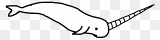 The Newest Narwhal Stickers On Picsart - Line Drawing Narwhal Drawing Clipart