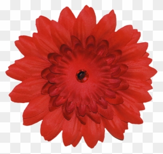Скрап Набор " Просто Естественно " - Wall Clipart