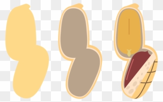 The Three Layers Of The Shell Are Shown Separately Clipart