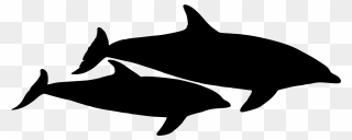 Dolphin Vector Graphic - Dolphins Svg Clipart