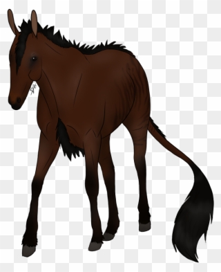 The Old Look In The Eye, Running To Parts Unknown, - Sorrel Clipart