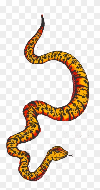 I - Colourful Snake Png Clipart