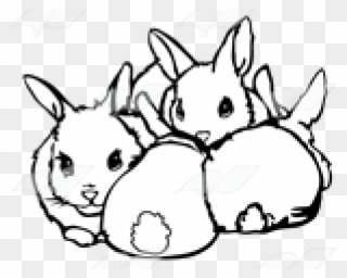 Rabbit Clipart Four - Sketch - Png Download