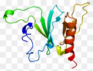 Sos Protein Clipart