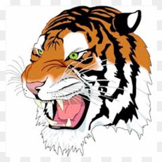 Past Logos - Tiger Images Only Face Clipart