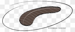 Wind Is A Serious Issue On The Coastal Property, Since Clipart