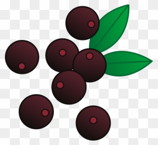 Berry Cliparts - Blueberries Clipart - Png Download