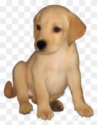 Labrador Retriever Clip Art - Png Image Small Size Transparent Png