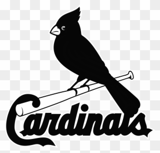 Louis Cardinals Logo Png Transparent Amp Svg Vector - Saint Louis Cardinals Clipart