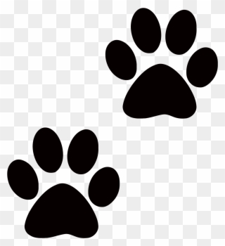 Collection Of Transparent High Quality Free - Dog Paw No Background Clipart