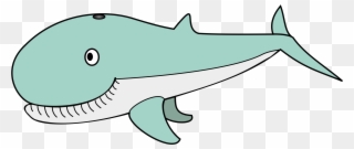 Sperm Whale Humpback Whale Cetacea Killer Whale Baby - Dibujo Ballena Jorobada Clipart
