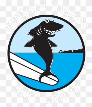 Vm Shark Art - Cartoon Shark Surfer Transparent Clipart
