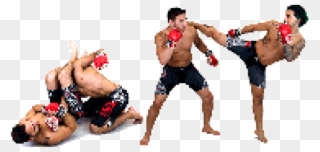 Mixed Martial Artist Clipart Transparent - Photography - Png Download