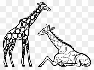 Cute Elephant Clipart Black And White Zebra Giraffes - Colouring Picture Of A Giraffe - Png Download