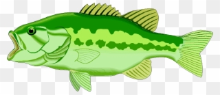 Lake Fish Clipart, Explore Pictures - Clipart Bass - Png Download