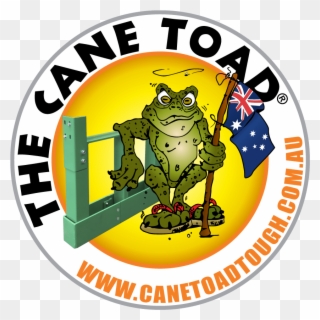 Amphibian Clipart Cane Toad - Cane Toad - Png Download