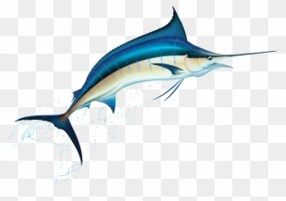 Our Story - Marlin Clip Art - Png Download