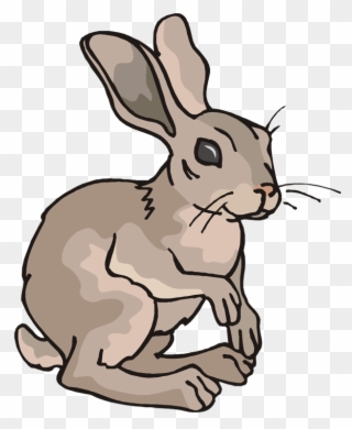 Cartoon Hare Clipart