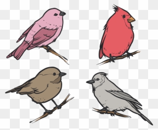 Picture Library Library Bird House Clip Art Flat Four - Drawings Of Winter Birds - Png Download