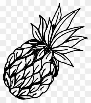 Free Download - Png Vintage Pineapple Drawing Clipart