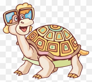 Картинка В Png - Turtle Clipart