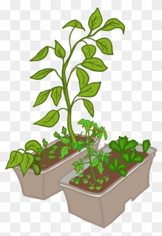 What Is A Vermi-composting Kit - Flowerpot Clipart