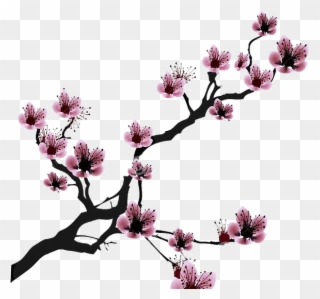 Cherry Blossom Drawing Clip Art - Cherry Blossom Black And White Drawing - Png Download