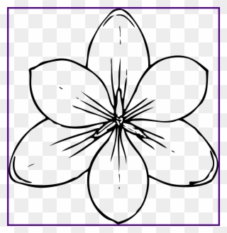 Flower Vector Freeuse Download - Pumpkin Flower Coloring Pages Clipart