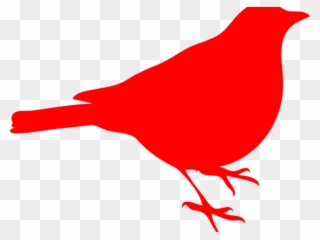 Baby Clipart Cardinal - Red Sparrow Bird Png Transparent Png