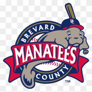 Brevard County Manatees Clipart
