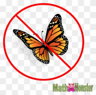 There Are No Butterflies In Math - Butterfly 3d Image Png Clipart