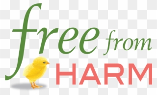 Free From Harm Researches And Publishes Articles On - Free From Harm Clipart