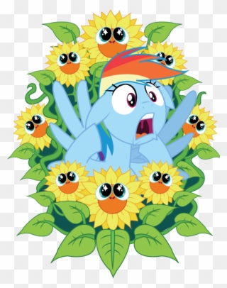 Clip Art Royalty Free Stock Artist Xkappax Beautiful - Rainbow Dash And Sunflower - Png Download