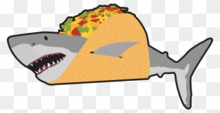 Shark A - Shark Eating A Taco Clipart