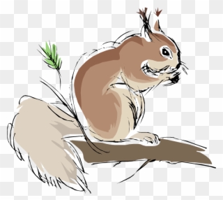 Squirrel Nuts Picture - Clipart Animals - Png Download