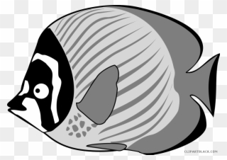 Image Tropical Fish Black And White Clipart - Sea Fish For Clip Art - Png Download