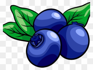 Muffin Clipart Fruit - Blueberry Clipart - Png Download